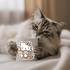 Кружка Hello Kitty Book Lover