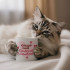 Кружка Кохаю тебе сильно