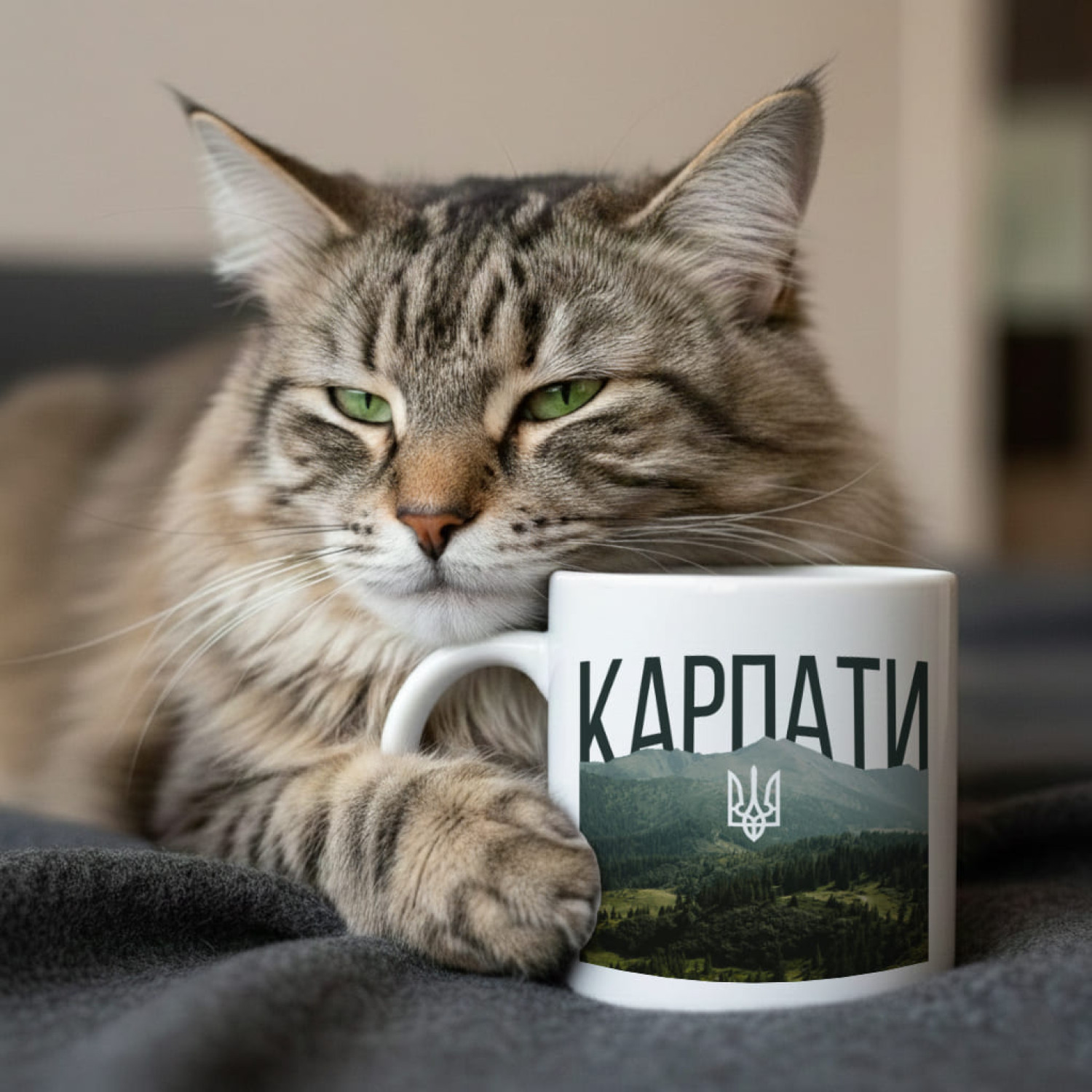 Кружка Карпати — гори України