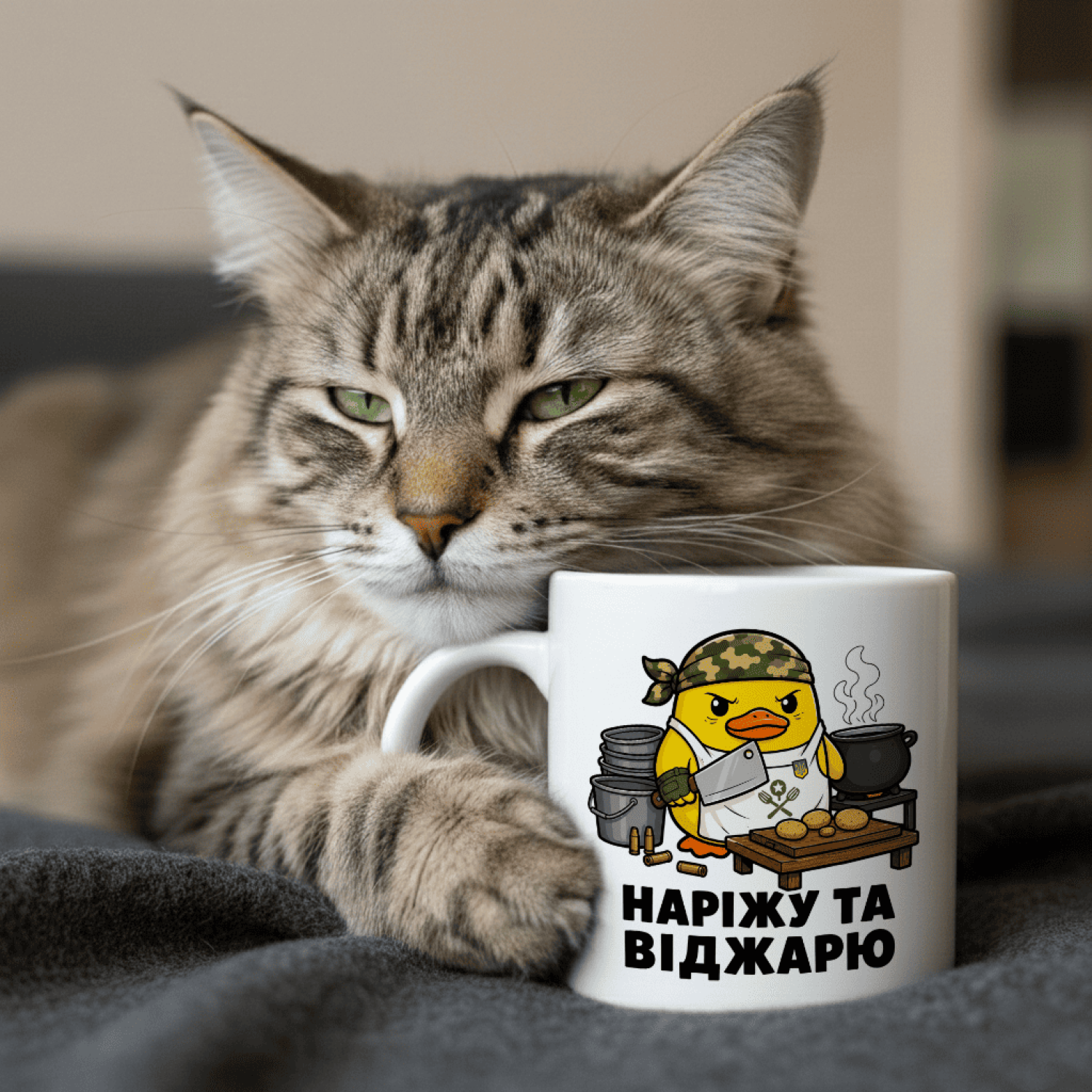 Кружка Наріжу та віджарю